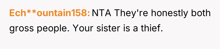Ech**ountain158 NTA They're honestly both gross people. Your sister is...