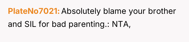 PlateNo7021 Absolutely blame your brother and SIL for bad parenting.:...