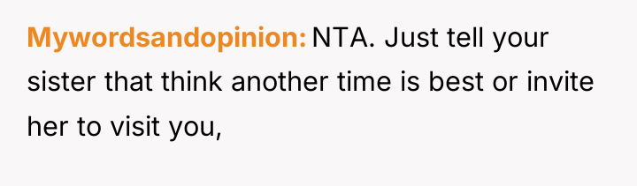 Mywordsandopinion NTA. Just tell your sister that think another time...