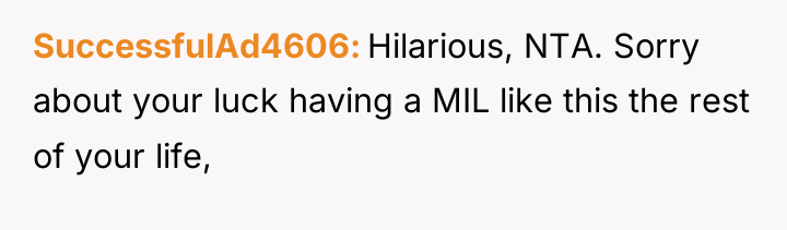 SuccessfulAd4606 Hilarious, NTA. Sorry about your luck having a MIL...