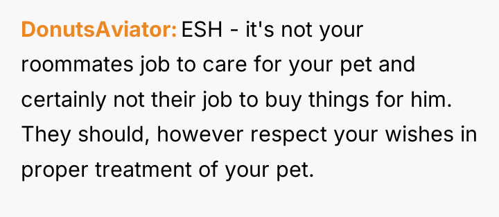 DonutsAviator ESH - it's not your roommates job to care...