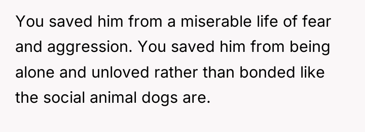 You saved him from a miserable life of fear and...