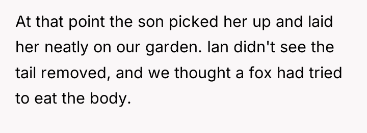 At that point the son picked her up and laid...