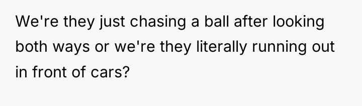 We're they just chasing a ball after looking both ways...
