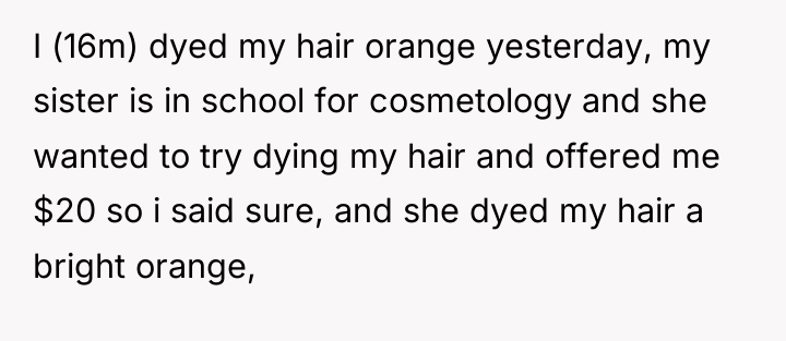 I (16m) dyed my hair orange yesterday, my sister is...