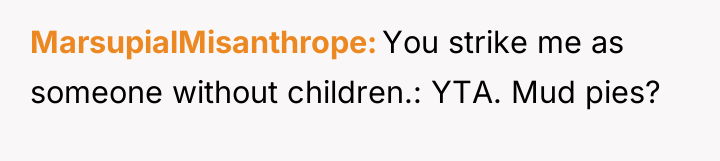 MarsupialMisanthrope You strike me as someone without children.: YTA. Mud...