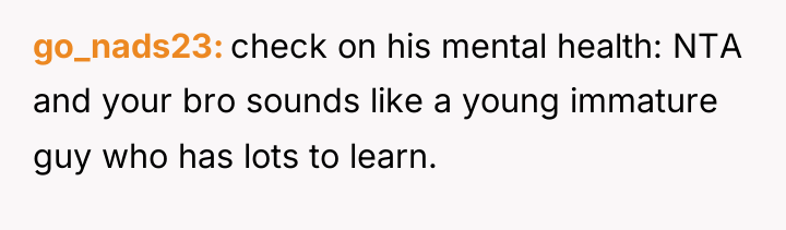 go_nads23 check on his mental health: NTA and your bro...