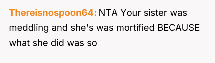 Thereisnospoon64 NTA Your sister was meddling and she's was mortified...