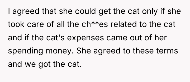 I agreed that she could get the cat only if...
