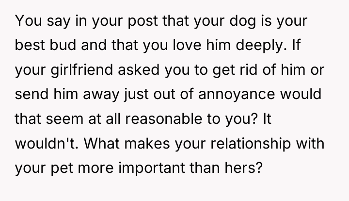 You say in your post that your dog is your...