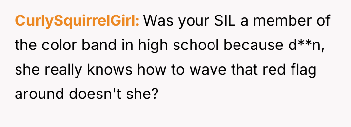 CurlySquirrelGirl Was your SIL a member of the color band...