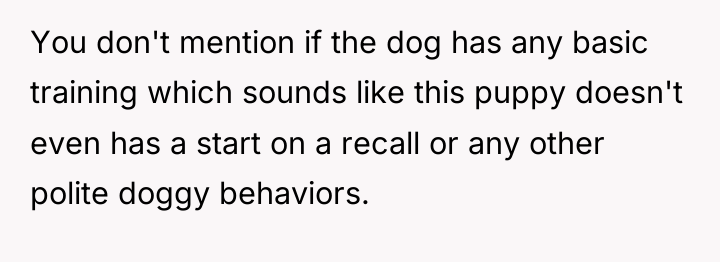 You don't mention if the dog has any basic training...