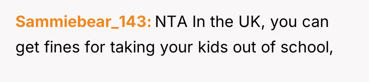 Sammiebear_143 NTA In the UK, you can get fines for...
