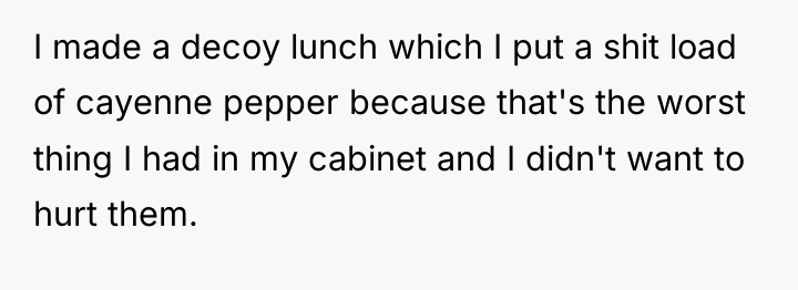 I made a decoy lunch which I put a shit...