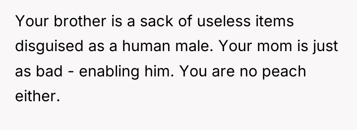 Your brother is a sack of useless items disguised as...
