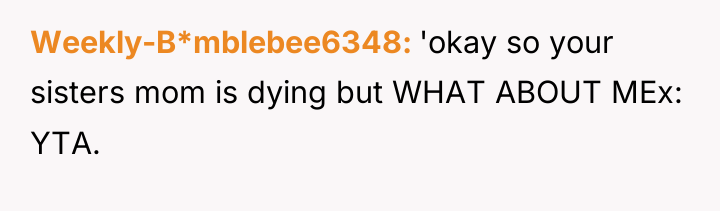 Weekly-B*mblebee6348 'okay so your sisters mom is dying but WHAT...