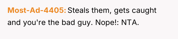 Most-Ad-4405 Steals them, gets caught and you're the bad guy....