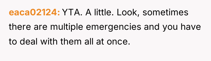 eaca02124 YTA. A little. Look, sometimes there are multiple emergencies...