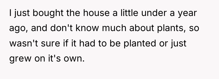 I just bought the house a little under a year...