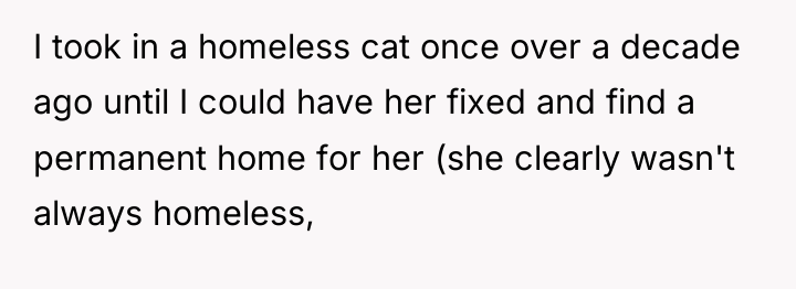 I took in a homeless cat once over a decade...