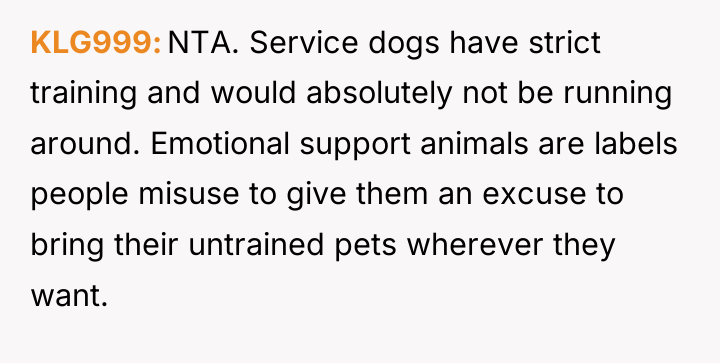 KLG999 NTA. Service dogs have strict training and would absolutely...