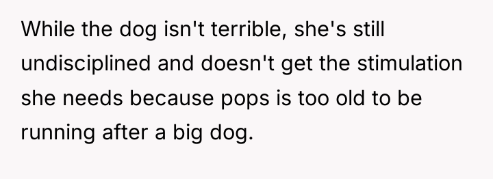 While the dog isn't terrible, she's still undisciplined and doesn't...