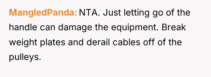 MangledPanda NTA. Just letting go of the handle can damage...