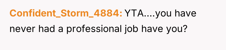 Confident_Storm_4884 YTA....you have never had a professional job have you?
