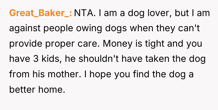 Great_Baker_ NTA. I am a dog lover, but I am...