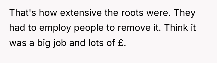 That's how extensive the roots were. They had to employ...
