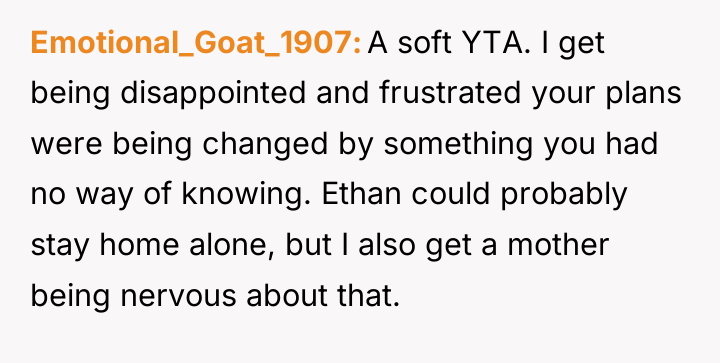 Emotional_Goat_1907 A soft YTA. I get being disappointed and frustrated...
