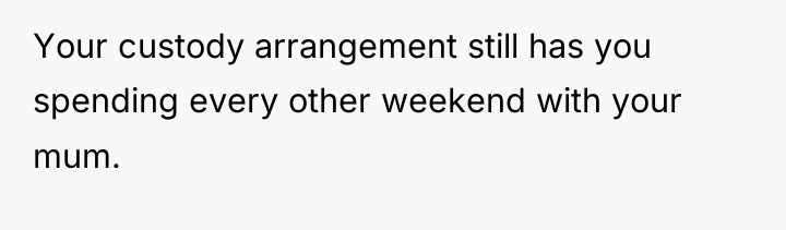 Your custody arrangement still has you spending every other weekend...