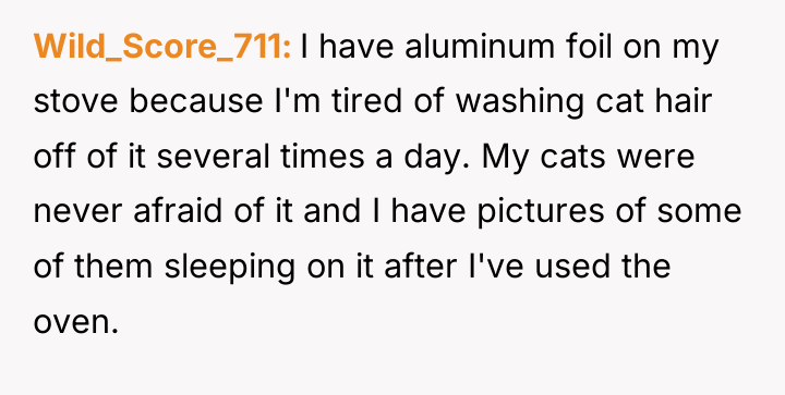 Wild_Score_711 I have aluminum foil on my stove because I'm...