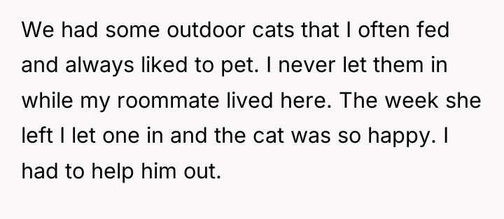 We had some outdoor cats that I often fed and...