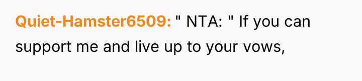 Quiet-Hamster6509 " NTA: " If you can support me and...