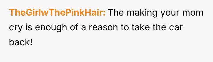 TheGirlwThePinkHair The making your mom cry is enough of a...