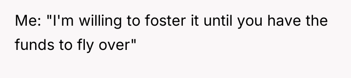 Me: "I'm willing to foster it until you have the...