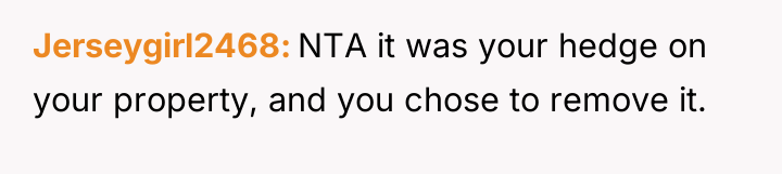 Jerseygirl2468 NTA it was your hedge on your property, and...