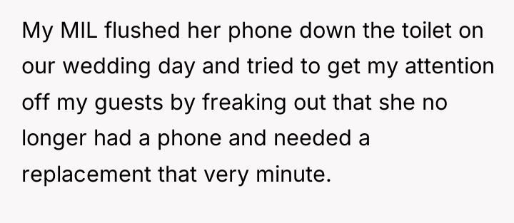 My MIL flushed her phone down the toilet on our...