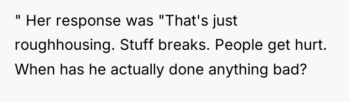 " Her response was "That's just roughhousing. Stuff breaks. People...