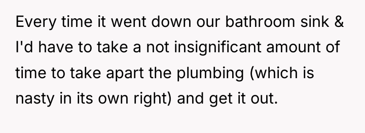 Every time it went down our bathroom sink & I'd...