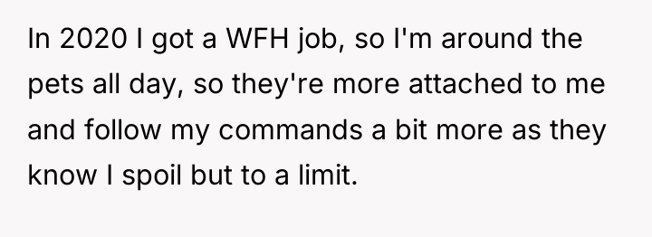 In 2020 I got a WFH job, so I'm around...
