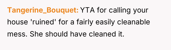 Tangerine_Bouquet YTA for calling your house 'ruined' for a fairly...