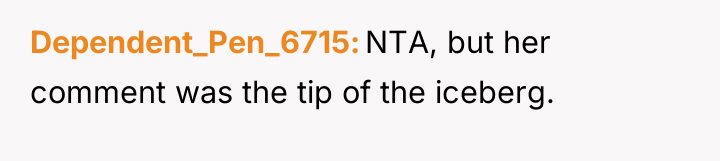 Dependent_Pen_6715 NTA, but her comment was the tip of the...