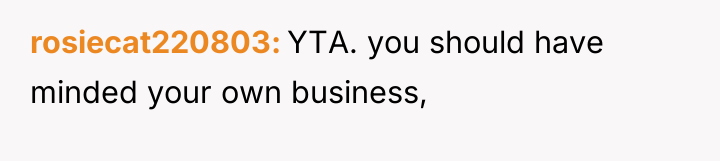rosiecat220803 YTA. you should have minded your own business,