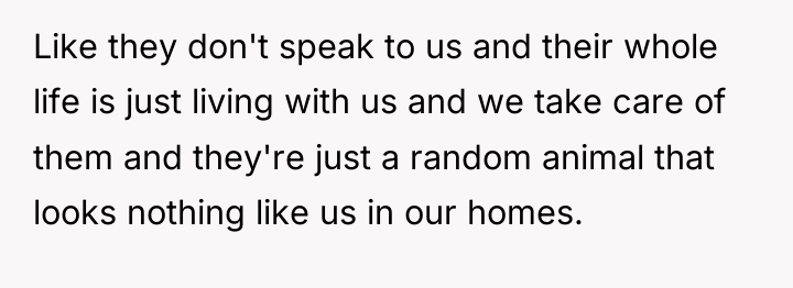 Like they don't speak to us and their whole life...