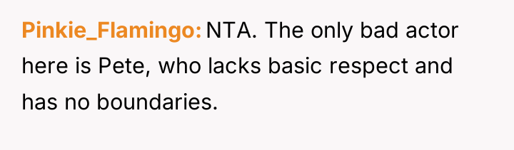 Pinkie_Flamingo NTA. The only bad actor here is Pete, who...