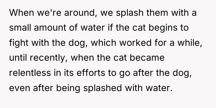 When we're around, we splash them with a small amount...