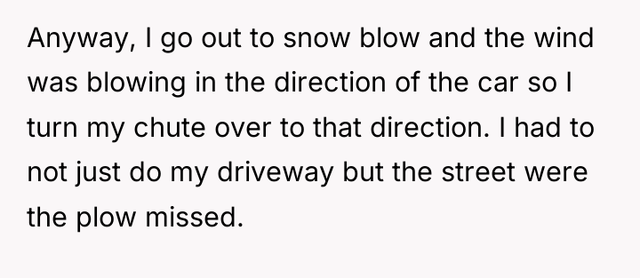 Anyway, I go out to snow blow and the wind...