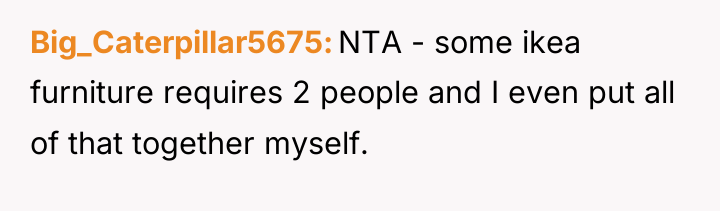 Big_Caterpillar5675 NTA - some ikea furniture requires 2 people and...